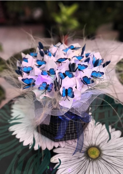 Kelebek Hediyelik Peri Ledli Sevdiklerinize Özel Gün Hediyesi fiyatları