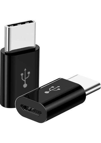 ZR393 Micro Type-C Çevirici