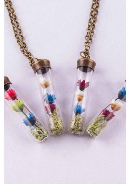 Çuvuk Mantar Tıpalı Fanus Canlı Kolye