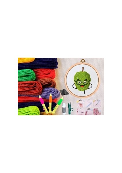 Punch Seti Nakış Seti Kasnaklı Kendin Yap Seti Seri 137