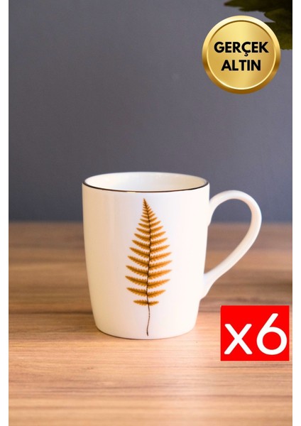 Porselen Natura Fern Kulplu Mug Kupa 9cm 220ML 6 Lı
