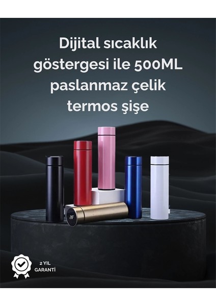 LED Sıcaklık Ölçerli 250 ml Yalıtımlı Termos Şişe