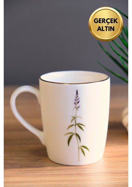 Porselen Natura Salkım Kulplu Mug Kupa 9cm 220ML 4 Lü fiyatları