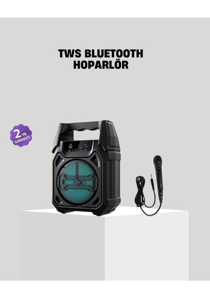 6.5 Inç Bluetooth Hoparlör Mikrofonlu Taşınabilir Karaoke ve Parti Sistemi