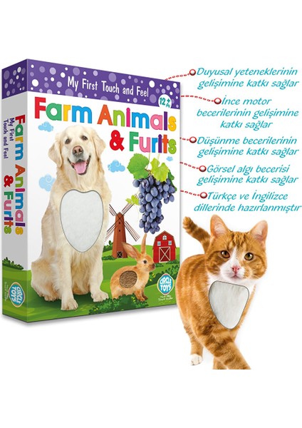 Dokun Hisset Çiftlik Hayvanları ve Meyve fiyatları