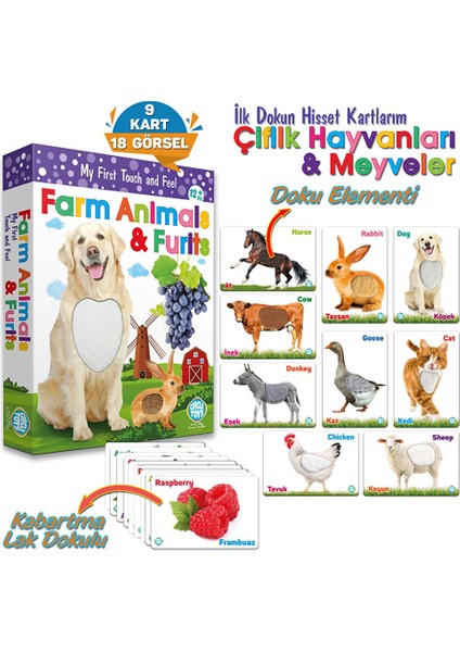 Dokun Hisset Çiftlik Hayvanları ve Meyve modelleri