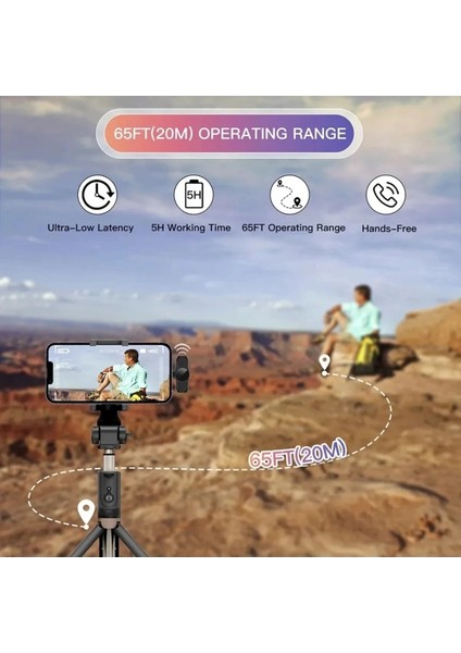 Type-C Çiftli Kablosuz Yaka Mikrofon Seti Telefon Vlog Canlı Yayın Tiktok Youtube Uyumlu fırsatları