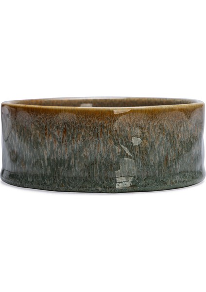 Sptrns Beeztees Dbl Köpek Mama Su Kabı, Seramik, Yeşil, 13,5cm, 500ML indirimleri