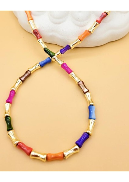 Renk Armonisi Akrilik Boncuk Kolye fiyatları