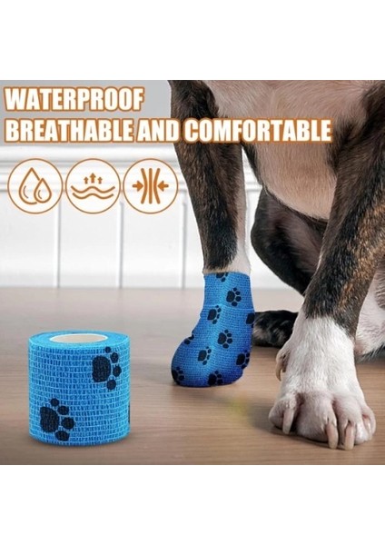 Pati Bandajı modelleri