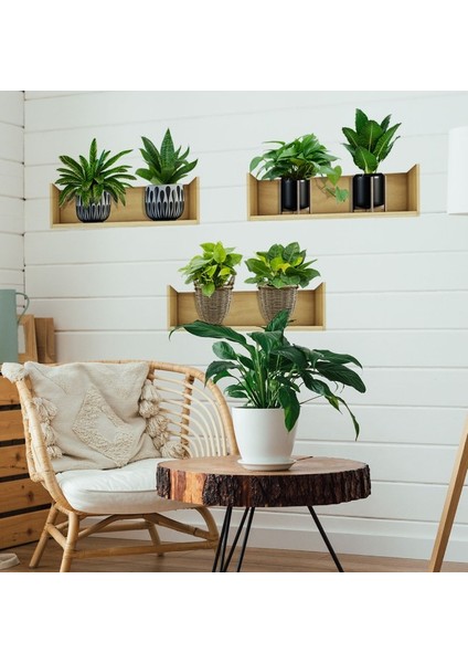 Raflı Bitki Tasarımlı Yapışkanlı Sticker 20*30 cm 3lü Set (5224) fiyatları