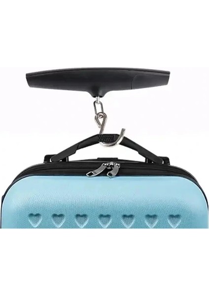 Taşınabilir Elektronik El Tartısı