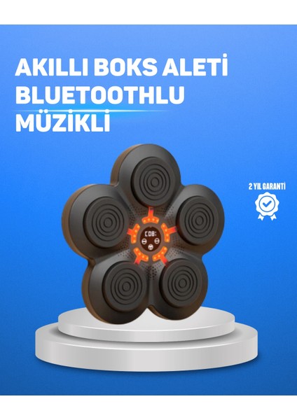 Bfs Müzikli Boks Duvar Paneli Akıllı Işık Sistemli Refleks ve Kondisyon Aleti