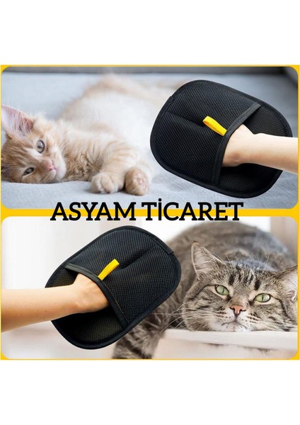 Tüy Toplama Eldiveni Yeni Nesil Kedi Köpek 25X18 cm