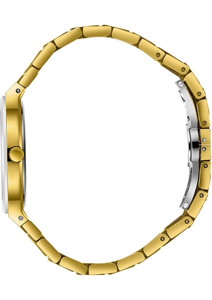 BP3689X.120 Kadın Kol Saati – Pırlantalı - Paslanmaz Çelik – 33 mm Seramik Safir Kaplamalı Cam modelleri