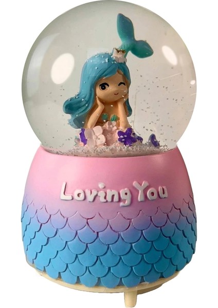 Kar Küresi LLM-HDY0209