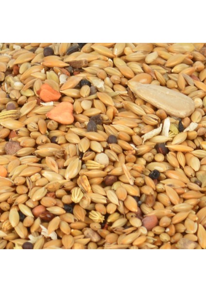 Kanarya Kondisyon ve Öttürücü Yem 150 gr fiyatları