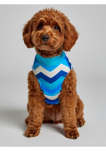 Surf Rain Küçük Köpek Yağmurluk Ceket fiyatları