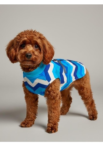 Surf Rain Küçük Köpek Yağmurluk Ceket indirimleri