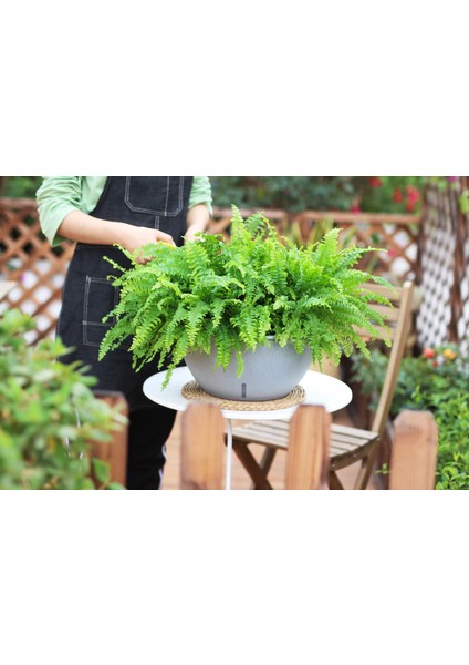 Kendinden Sulamalı Yuvarlak Bahçe Tipi Akıllı Saksı