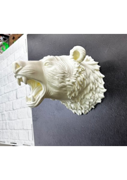 Beyaz Renk 3D Ayı Başı Duvar Dekoru fiyatları