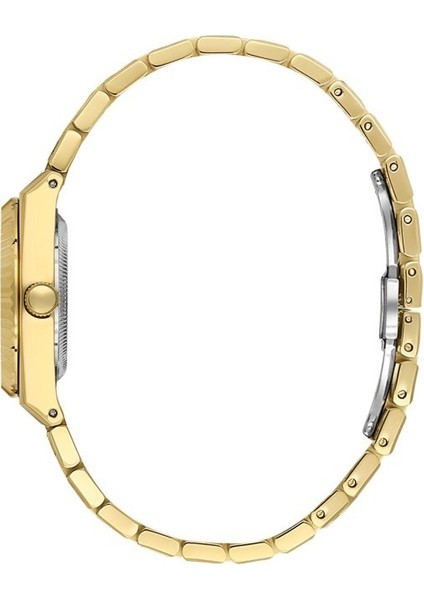Danıel Kleın DK.13.10122-2 Altın Kaplama Kadın Kol Saati fiyatları
