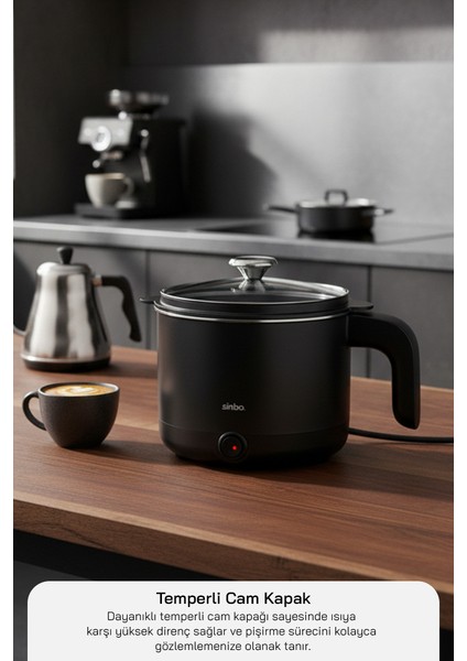 SCO-5067 Çok Fonksiyonlu Buharlı ve Yağda Pişirme Özellikli Elektrikli Pişirici indirimleri