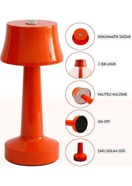 Dekoratif Masa Lambası fiyatları