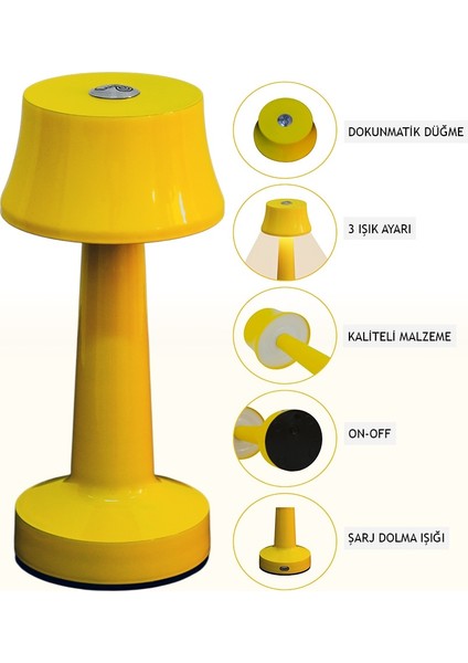 Dekoratif Masa Lambası fiyatları