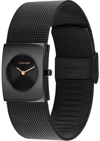 CK25100138 Kadın Kol Saati fiyatları