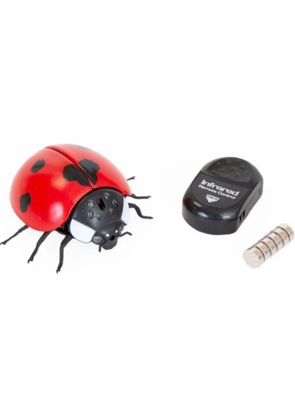 Oyuncak Işıklı Uğurböceği