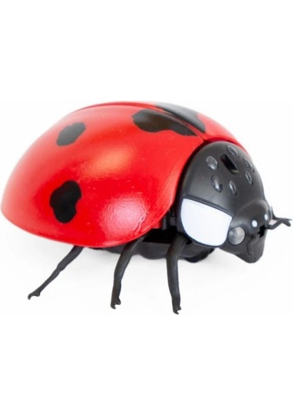 Oyuncak Işıklı Uğurböceği fiyatları