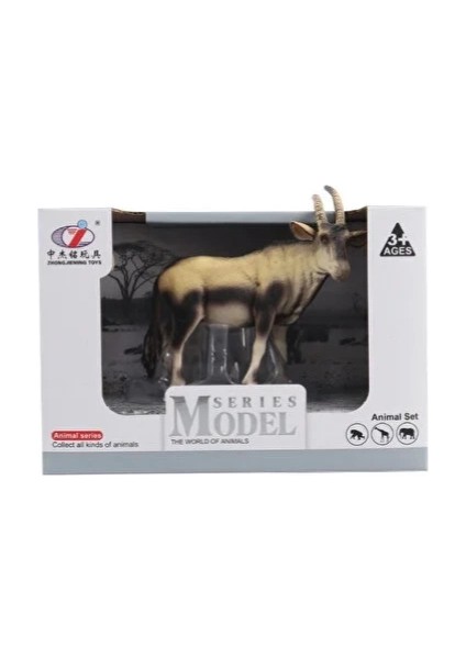 Kutulu Model Antilop modelleri