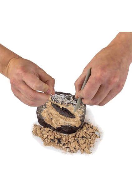 NAT06002 National Geographic Dino Kazı Kiti - Rtngdıno2 +8 Yaş fiyatları