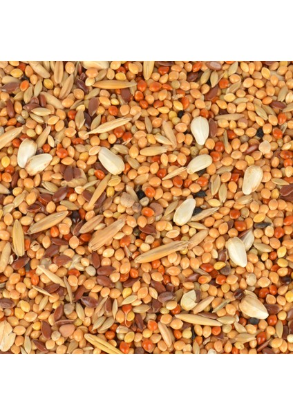 Kızıştırıcı Yem 150 gr x 2 Adet modelleri