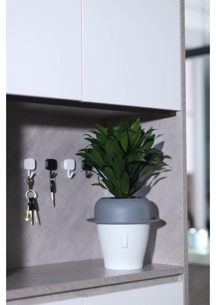 Dekoratif Mini Kendini Sulayan Akıllı Saksı (Küçük Boy) modelleri