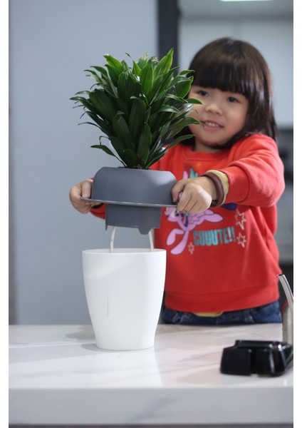 Dekoratif Mini Kendini Sulayan Akıllı Saksı (Küçük Boy) fırsatları