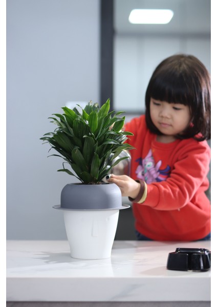 Dekoratif Mini Kendini Sulayan Akıllı Saksı (Küçük Boy)