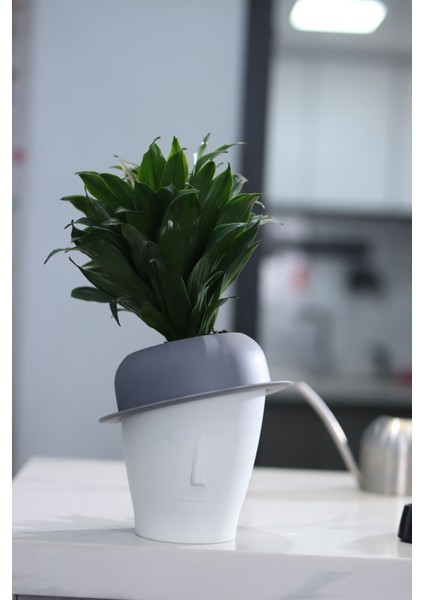 Dekoratif Mini Kendini Sulayan Akıllı Saksı (Küçük Boy)