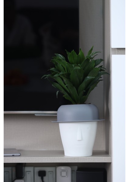 Dekoratif Mini Kendini Sulayan Akıllı Saksı (Küçük Boy)