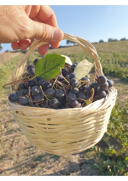 Aronya Marmelatı Şeker Ilavesiz