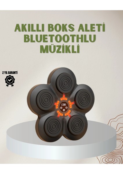 Bfs Bluetoothlu Akıllı Boks Antrenman Cihazı Işıklı Hedefli Kardiyo ve Fitness Aleti