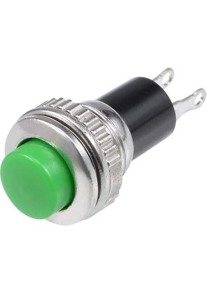 IC-179 2 Pin Buton Anahtar 10MM DS-316