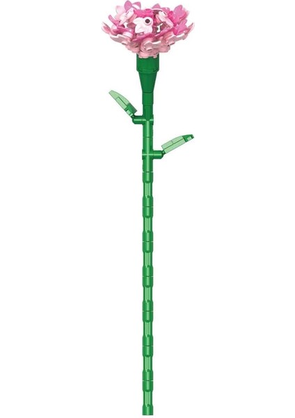 Blx Karanfil Buketi 8803