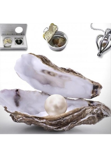 Ieg Istiridye Içinde Gerçek Inci Kolye modelleri