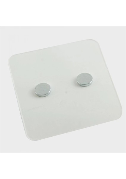 Uğur Böceği Mıknatıslı Plastik Çocuk Küpesi