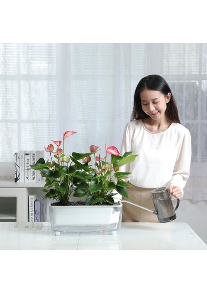 Kendi Kendini Sulayan Modern Akıllı Saksı (Büyük Boy) modelleri