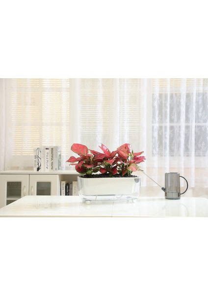 Kendi Kendini Sulayan Modern Akıllı Saksı (Büyük Boy) indirimleri