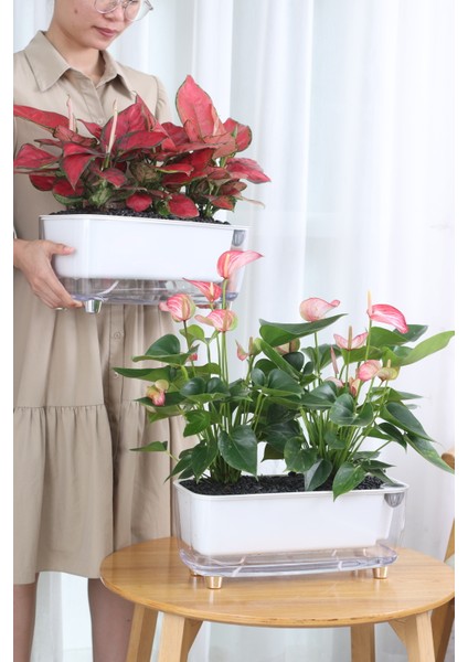 Kendi Kendini Sulayan Modern Akıllı Saksı (Büyük Boy)