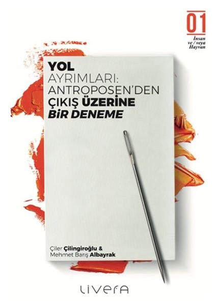Yol Ayrımları